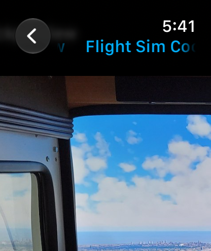The same entry on an Apple Watch
