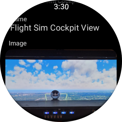 One entry on a Wear OS watch: the name, then its picture under the Image label